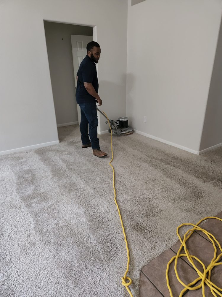 SAFEDRY CARPET CLEANING OF THE WOODLANDS Updated October 2024 15 Reviews 4455 Panther