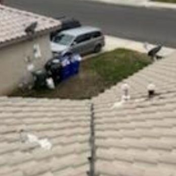 Global Roofing - Cleaned and open  valley - Roofing Near Me