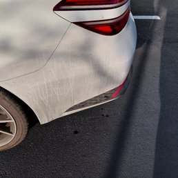 filthy car