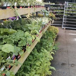 B & Q - Garden section