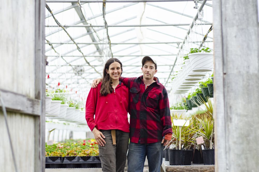 Honey Field Farm - beekeeping in Norwich, VT