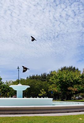 Kapiʻolani Regional Park by null