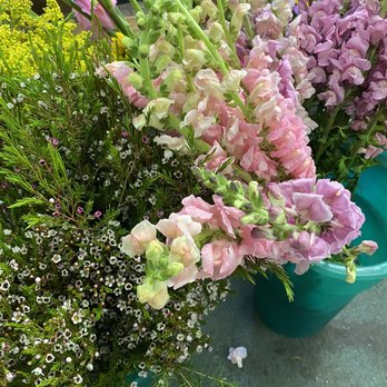 St Cloud Florist - Florists Near Me - Saint Cloud, Florida