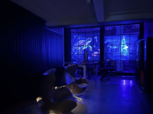 Hotel Zeppelin San Francisco by null