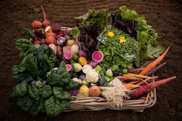 The Chef's Garden by null