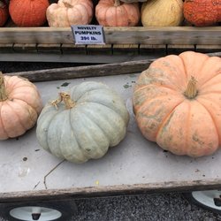 Mayflowers Nursery & Garden Ctr