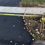 Reliable Paving