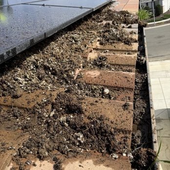 Norcal Pigeon Control - This was the massive build up. We had no clue it was so bad. - Solar Panel Cleaning Near Me Norcal Pigeon Control - This was the massive build up. We had no clue it was so bad. - Solar Panel Cleaning Near Me