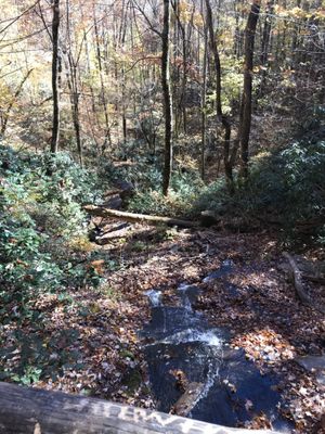 Deep Creek Trail Trailhead by null