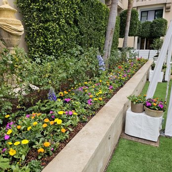 Bolanos Landscape - Landscaping Near Me Bolanos Landscape - Landscaping Near Me