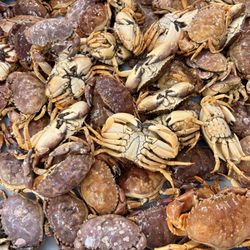 J & D Seafood - Crabby Crabs.