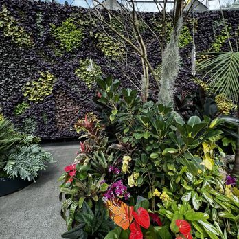 The Calyx - Botanical Gardens Near Me - Sydney, NSW