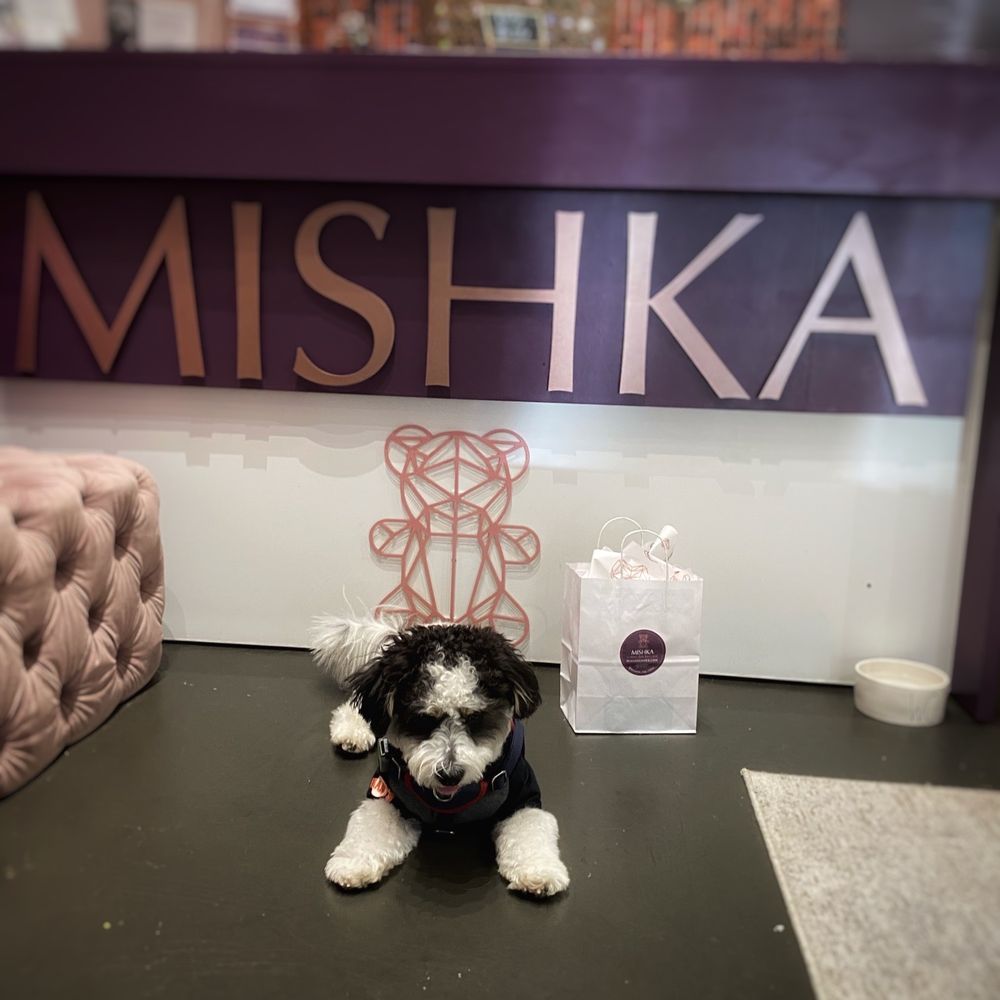 Mishka - Pet Stores Near Me - San Francisco, California Mishka - Pet Stores Near Me - San Francisco, California