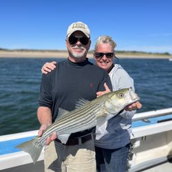Reel Addiction Sport Fishing - Stripe bass
