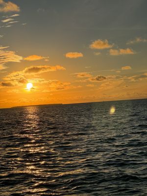 Danger Charters by null