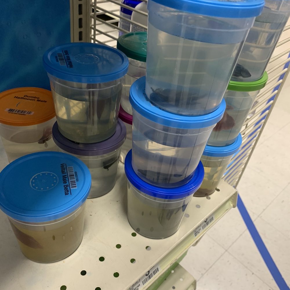 PetSmart - All dead Betas pt 2 - Pet Training Near Me - Chesterfield, Missouri PetSmart - All dead Betas pt 2 - Pet Training Near Me - Chesterfield, Missouri