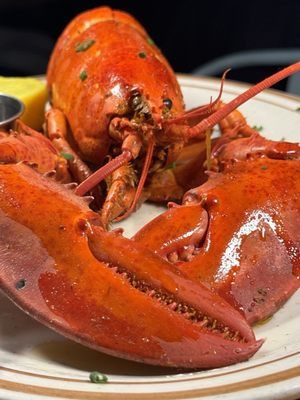 Sea Wolf Brooklyn by null