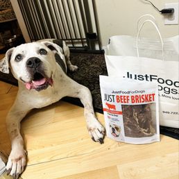 Mickey with Just Food For Dogs Chicken and Rice Recipe and Just Beef Brisket Treats for Dogs