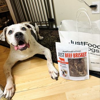 Just Food For Dogs - Mickey with Just Food For Dogs Chicken and Rice Recipe and Just Beef Brisket Treats for Dogs - Pet Stores Near Me - West Hollywood, California