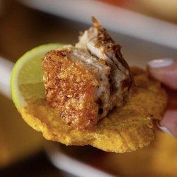 Lucas II The Dominican Spot