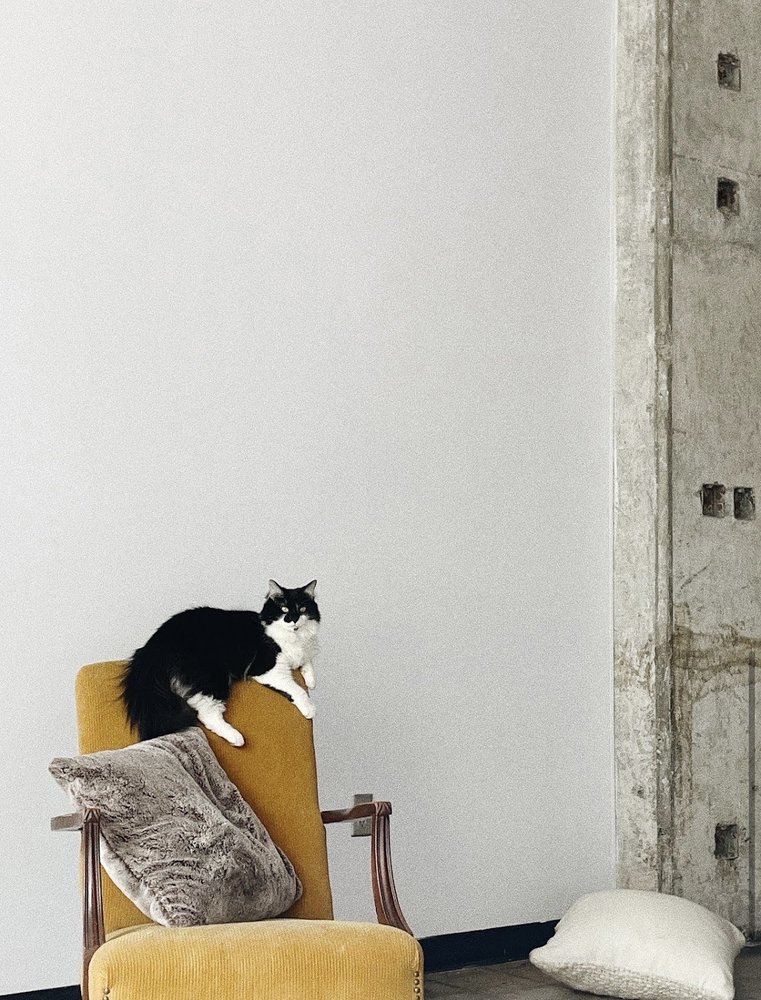 The Phoenix Building Lofts - property management company in birmingham, AL