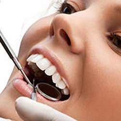 Amanda B. Boltwood, DDS