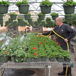 Guini Ridge Farm - Watering Plants So They Are Beautiful For You!