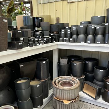 Dana Point Nursery - Lots of pots - Nurseries & Gardening Near Me - Dana Point, California Dana Point Nursery - Lots of pots - Nurseries & Gardening Near Me - Dana Point, California