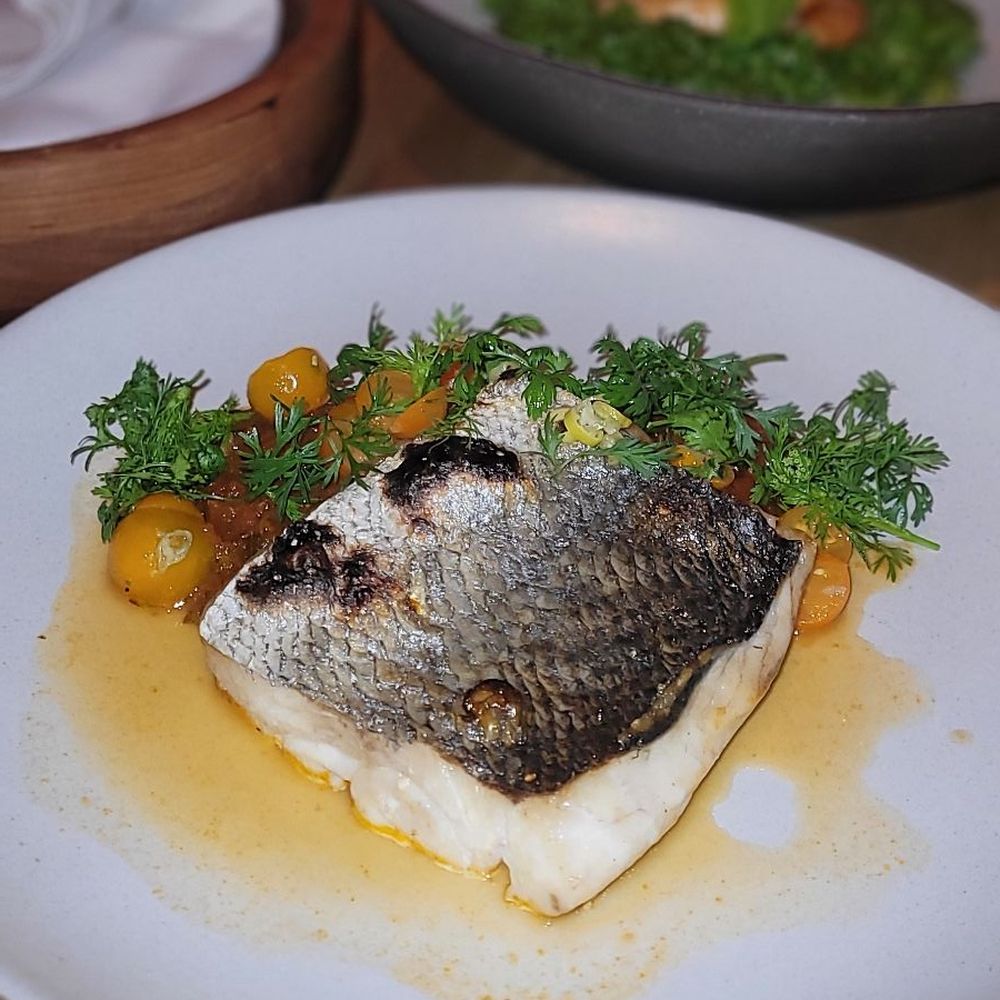Casa Playa - BAJA STRIPED BASS A LA BRASA SALSA VERACRUZ, CAPER, OLIVE $41 - Mexican Near Me - Las Vegas, Nevada