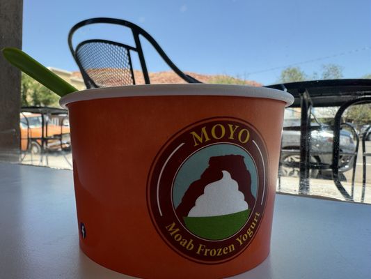 MOYO Moab Frozen Yogurt