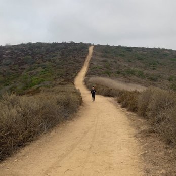 Apex Athlete - Trainers Near Me - Santa Ana, California Apex Athlete - Trainers Near Me - Santa Ana, California