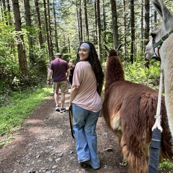 Topstall Farm - Attraction Farms Near Me - Roy, Washington