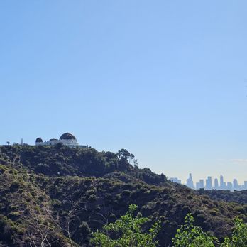 Griffith Observatory - View looking up to the observatory with the city in the distance - Observatories Near Me - Los Angeles, California Griffith Observatory - View looking up to the observatory with the city in the distance - Observatories Near Me - Los Angeles, California
