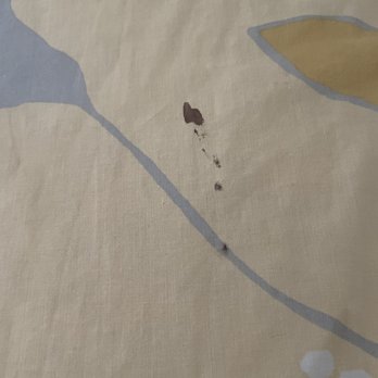 Sea Colony - Blood on bedding comforter - Property Management Near Me - Bethany Beach, Delaware