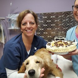 Black Dog Veterinary Services - National Pie Day at Black Dog Veterinary Service.