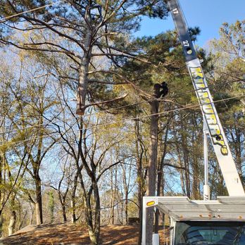 Kilmurry's Tree Service - Tree Services Near Me - Canton, Georgia Kilmurry's Tree Service - Tree Services Near Me - Canton, Georgia