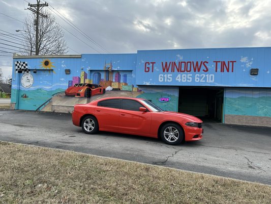 GT WINDOWS TINT by null