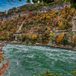 Niagara Glen Nature Reserve