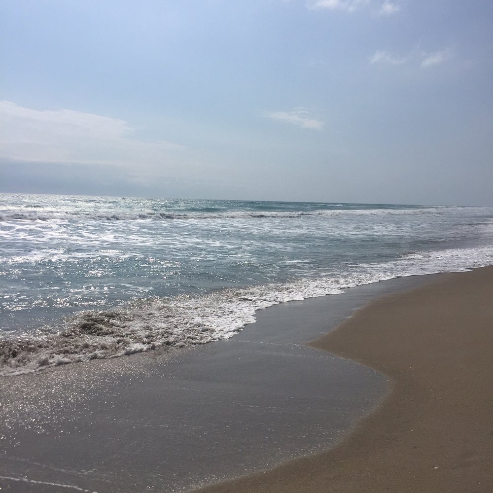 Jensen Beach - Beaches Near Me - Jensen Beach, Florida Jensen Beach - Beaches Near Me - Jensen Beach, Florida