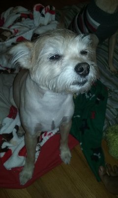 Petco 34 Photos 58 Reviews Pet Stores 210 Nut Tree Pkwy