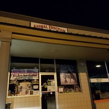 Animal Junction Pet Grooming Center - Pet Sitting Near Me - Clovis, California Animal Junction Pet Grooming Center - Pet Sitting Near Me - Clovis, California