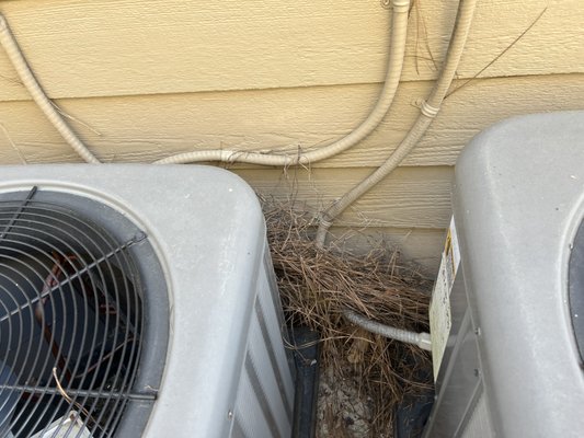 Atlanta's Best Gutter Cleaners