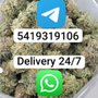 Photo of DocMJ