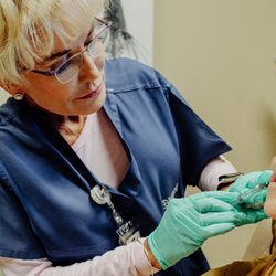 North Georgia Eye Associates - North Georgia Aesthetics is a Platinum Plus level Allergan Partner, providing Botox, Juvederm and Latisse treatments.