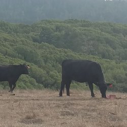 Bolinas Ridge Trail