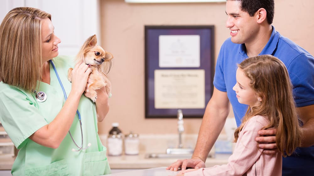 Willingboro Veterinary Clinic Image