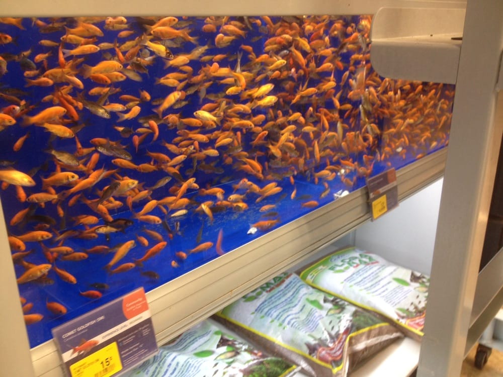 Petsmart 258 Photos 158 Reviews Pet Groomers 95 660