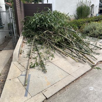 John’s Yard Clean-Up Service - Landscaping Near Me