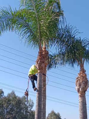 RJ’S LAWNCARE AND HANDYMAN SERVICE - Updated April 2024 - 20 Photos ...