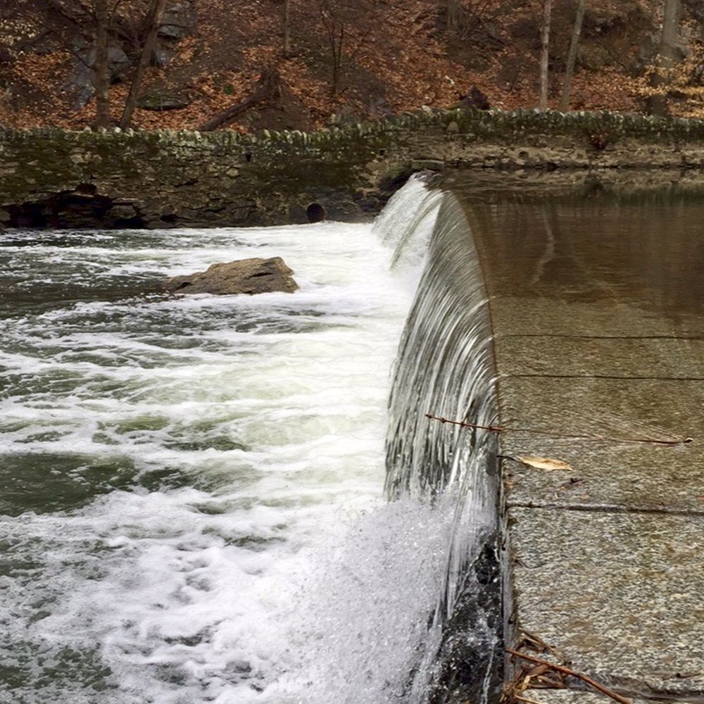 Pennypack Park - Parks Near Me - Philadelphia, Pennsylvania Pennypack Park - Parks Near Me - Philadelphia, Pennsylvania